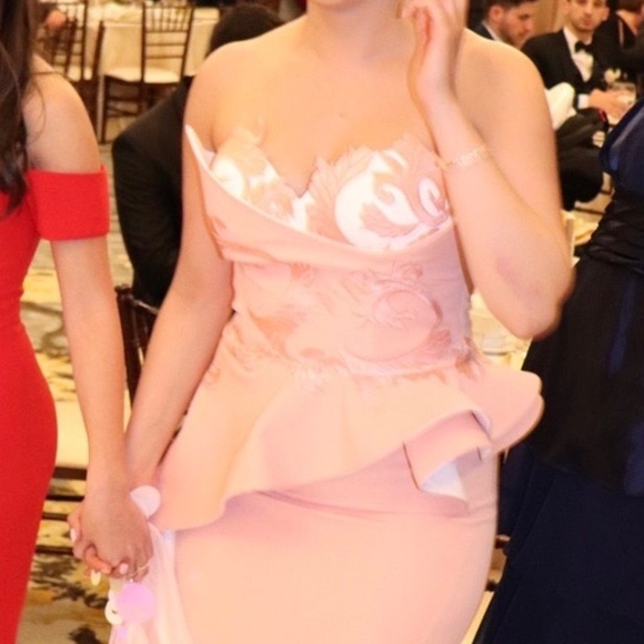 Fouad Sarkis Couture Gown- Blush - Picture 1 of 7